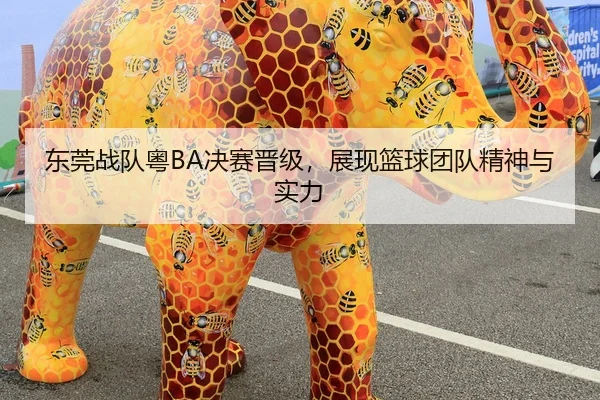 东莞战队粤BA决赛晋级，展现篮球团队精神与实力